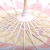 安言舞蹈伞古典伞空白油纸伞diy手工绘画伞幼儿园中国风创意儿童手绘 杏色 30cm直径图案混发 0cm  半穿