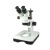 BM上海彼爱姆连续变倍体视显微镜（立臂/导轨滑板式） XTZ-D（双目、变倍7-90X） 
