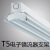 三雄极光T5亮雅电子式荧光灯t5节能日光灯支架1.2米双支带罩28W 单支平盖1.2米（28W）不含光源 需要订货