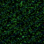 单分散绿色荧光聚苯乙烯微球/PS荧光微球/微米纳米均一 10微米