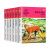 任选6本下单备注沈石溪动物小说全套36册 狼王梦斑羚飞渡经典三四五六年级小学生课外阅读书籍经典书目 黄色套装共6册