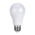 LED灯泡 功率15W  电压36V  规格E27