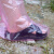 一次性鞋套加厚高筒PE靴套男女透明防水防滑防尘养殖场耐磨脚套 粉色塑料靴套5双 均码