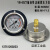 YN-60ZT轴向带边耐震压力表液压油压抗震防震背接式 0-0.6MPA