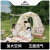 NatureHike挪客全自动帐篷户外便携折叠露营野营公园野餐防雨防晒NH21ZP010 套餐一：自动帐篷+单个野餐垫