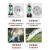 绿一（lu yi）不锈钢潜水泵污水泵高扬程自吸水泵220V家用抽水泵农用抽水机 550W1寸清水5米线5米管-自