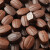 寄漪咖啡糖咖啡豆糖菲办公室零食醇香黑咖啡coffee candy糖果z 约120颗-四味混合110g(55g+55g发