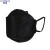 君御（Exsafety）KN95口罩 三层透气防护防尘 耳戴式柳叶形口罩 30个独立装 黑色 黑色