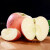 屈楚庄园山东烟台栖霞红富士应季新鲜孕妇水果青红苹果 富士 （85-90mm）4.5斤特大果