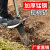 挖树铲洛阳铲铁锹锰钢挖坑神器挖沟洞起苗树根挖土专用锹挖笋工具 4012T柄挖树球起苗挖土