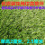 草坪围挡环保人造仿真草坪网隔离网护栏网绿色市政防护绿化草皮 2.5米宽20米长军绿草1厘米