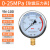 富阳华仪仪表不锈钢耐震压力表yn100油压液压表1.6mpa带油气压表 0-25MPA=250公斤 M20*1.5