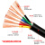 津瓯 黑色RVV软护套线 国标铜芯电源线软线屏蔽线信号控制线护套电缆线 黑RVV6*1(100米)
