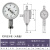 哈量广陆杠杆百分表0-0.8mm小校表防震指示表杠杆千分表0-0.2mm 威量杠杆百分表0-0.8(大表盘)