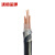 沈缆金环 ZR-YJV22-0.6/1KV-3*10+2*6mm² 国标铜芯铠装阻燃电力电缆 1米