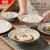 松匠日式陶瓷米饭碗家用2023新款5寸6寸碗特别好看的盘子碗碟套装餐具 5英寸饭碗(2个装)