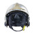 梅思安（MSA）F1XF消防头盔10166683 灭火抢险救援头盔 外置电筒支架 镍色中号 定制拍前联系客服