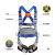 泰瑞恒安 五点式安全带 防坠消防作业安全带 全身式安全带 单独安全带 蓝灰色双小钩带绳1.8米