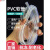 京纯（JINGCHUN）PVCTPU聚氨酯PU钢丝管 食品级软管透明橡胶塑料 耐高压高温骨架 内径1.5mm*外径2.5mm(10米价)