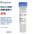 BIOSHARP LIFE SCIENCES 白鲨 BL543A RNase A溶液（核糖核酸酶 A,10mg/ml）1ml/支