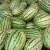 美园中（MEIYUANZHONG）西瓜种子特大宁夏硒砂山地石头瓜种籽高产皮薄中熟超甜大果种孑硒 硒砂大瓜罐装100g