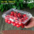 市一次性水果包装盒透明塑料盒水果500M水果店一斤装草莓打包盒 125克蓝莓盒-100个 125克蓝莓盒-整箱1000个