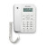  摩托罗拉(Motorola)电话机座机 固定电话 办公 免电池 免提 欧式时尚CT202C(白色）