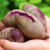 山东小紫薯5斤装 紫薯 山芋 洋芋 健康轻食 新鲜蔬菜