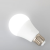 泓瑞沣  5W LED 节能灯泡 （个）