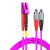 胜为 光纤跳线 LC-FC 多模双芯 紫色 20m FLFO-2200