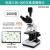 日新光学生物水产养殖显微镜双目RXT-76TV精子高清宠物医院三 三目+VGA摄像头接屏幕