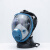 海固  HG-800防毒面具全面罩有毒气体喷漆农药甲醛放毒面罩（不含过滤件） 蓝色