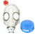 一护防毒全面具面罩 E40接口 防氨H2S(面具+8#小罐)
