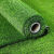 仿真草坪地毯人造人工假草皮绿色塑料装饰工程围挡铺设 2厘米夏草加密 2米宽 6米长