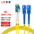 良浦 电信级单模万兆光纤跳线 单模双芯Φ2.0（LC-SC，9/125）1米 光纤线尾纤跳纤 NG-2LC-SC-S1