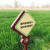 定制定制小草牌警示牌爱护绿化牌草地草坪牌公园温馨提示牌镀锌板 爱 爱护环境是责任 保护环境是责任