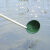 定制老式水舀粪舀粪瓢泼菜浇水瓢施肥瓢舀水瓢木柄塑料勺种菜工具 中号绿色水舀头一个