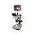 BM彼爱姆 体视显微镜XTL-BM-8TP（变倍、6.3-50X）