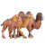 wiben仿真双峰骆驼玩具动物模型单峰骆驼实心塑胶儿童男孩收藏摆件礼物 双峰骆驼