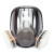 3M 防毒口罩面具全面型防护面罩（中号)6800  防有机蒸汽面罩 6800配6001 七件套 