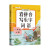 小学一年级上册看拼音写词语练字帖生字注音语文课本同步专项训练 习字本写字练习册彩绘版