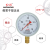 红旗牌仪表Y-100径向普通压力表气压表水压表真空负压表精度1.6级 -0.1~1.5MPa