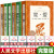 全套6册儒林外史+简爱书籍围城科契诃夫短篇小说选集我是猫格列佛游记 原著完整无删减版夏目漱石钱钟书著 九年级下册必阅读课外阅读书籍 人民文学出版社 全6册九年级下学期全套+6本考点