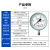 匡建仪表（CONJANT）Y-100GW 耐高温压力表0-25mpa 蒸汽锅炉专用	