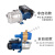 水泵自来水增压泵不锈钢自吸泵增压水泵抽水机高扬程ONEVAN BJZ75T/550W/380V钢叶