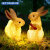 户外发光兔子灯防水仿生动物灯公园庭院造型灯太阳能led园林装饰 兔子 A+B款市电组合