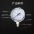 不锈钢压力表 Y60BF YN60BF不锈钢耐震 上海平川负压真空压力表 0.25mpa