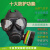 FMJ防毒面具自吸过滤罐式毒气烟核辐射病毒喷漆防尘新华全面罩 面罩+综合滤毒罐