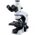 定制奥林巴斯显微镜CC1 正置生物体视显微镜三目显微镜 奥林巴斯CKX53