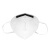 霍尼韦尔（Honeywell）口罩KN95 H910Plus防工业粉尘 50只/盒 防雾霾口罩耳带环保装